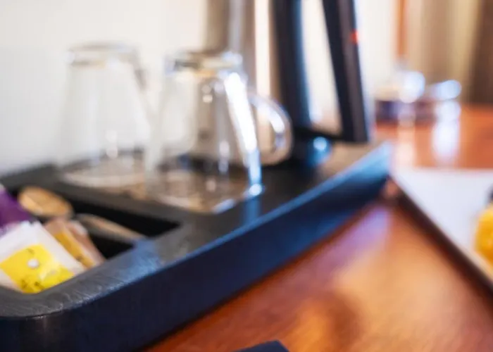 Bristol 오파티아