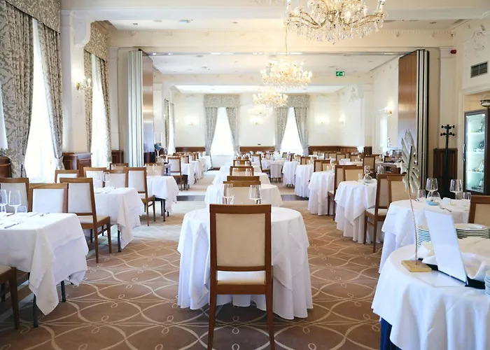 Bristol オパティヤ